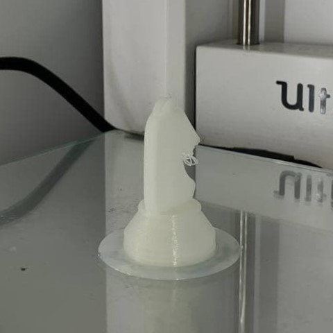 First print in 3D printer
